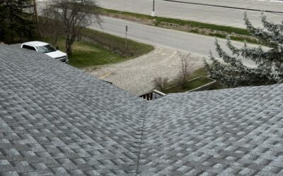 Everything You Need to Know about Asphalt Shingle Roof?